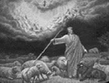 Isus seperates ovine şi caprine