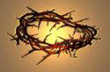 crown of thorns