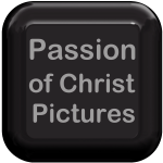 Passion Pictures