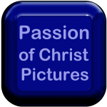 Passion Pictures