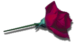 flower116.gif