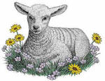 sheep002.jpg