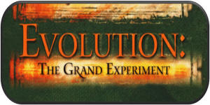 Evolution the Grand Experiment