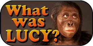 Who was LUCY Australopithecus