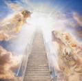 Testimonies of Heaven