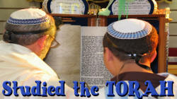 studytorah.jpg (365368 bytes)