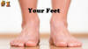 feet.jpg (96216 bytes)