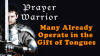 prayerWarrior.jpg (151686 bytes)
